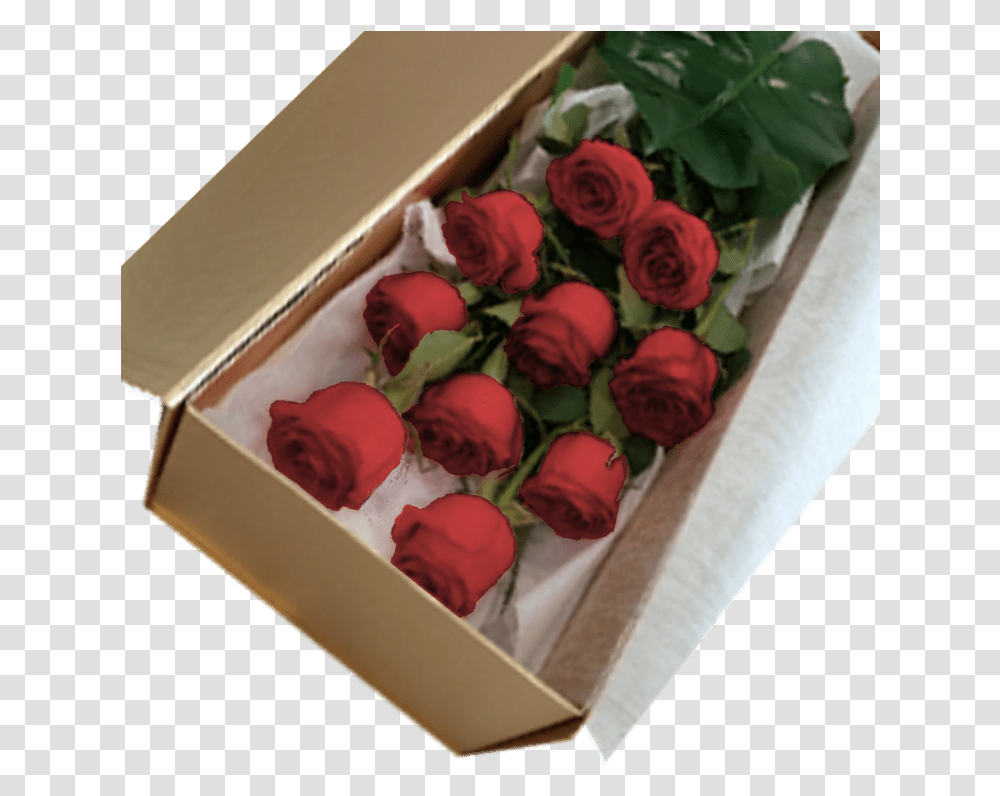 Garden Roses, Plant, Flower, Blossom, Box Transparent Png