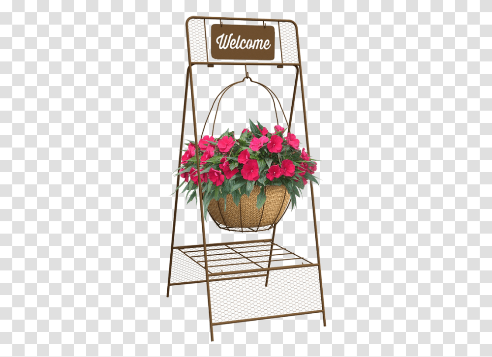 Garden Roses, Plant, Flower, Blossom, Flower Arrangement Transparent Png