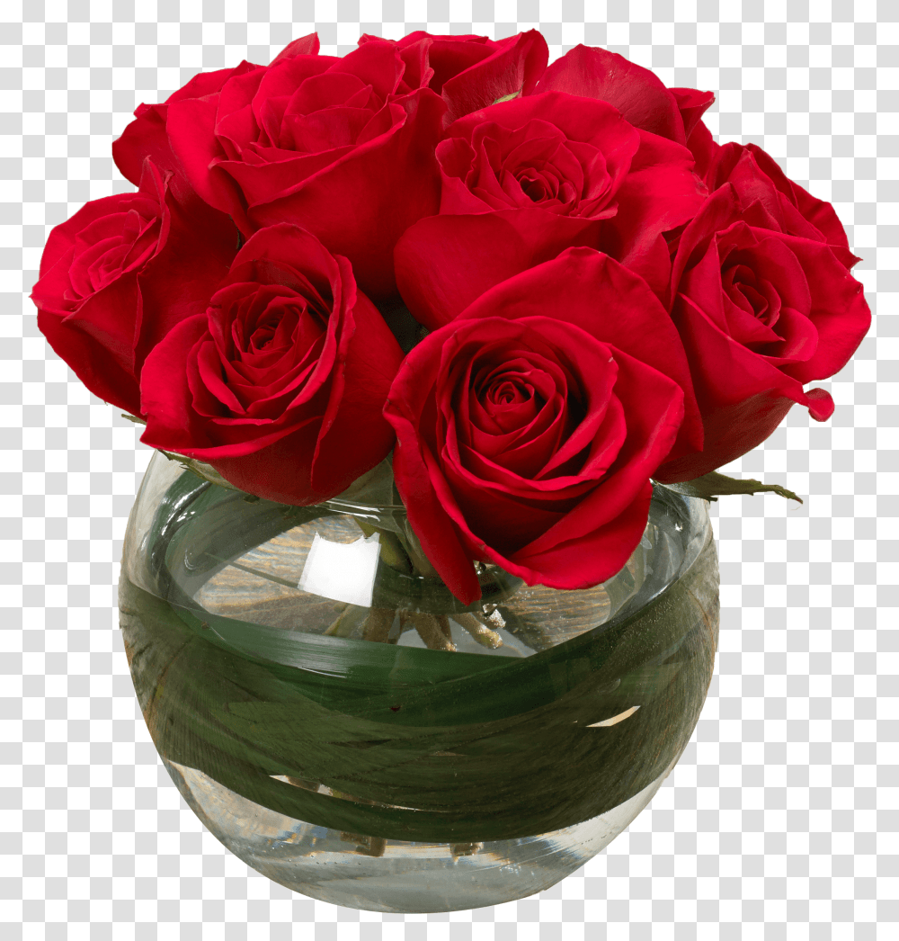 Garden Roses, Plant, Flower, Blossom, Flower Arrangement Transparent Png