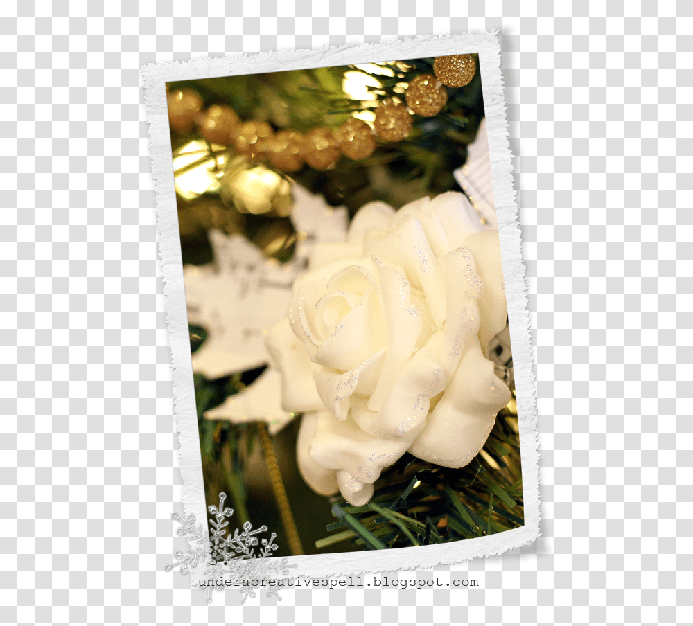 Garden Roses, Plant, Flower, Blossom, Flower Arrangement Transparent Png