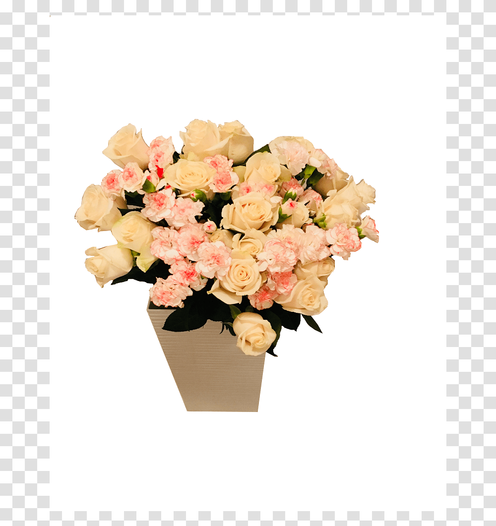 Garden Roses, Plant, Flower, Blossom, Flower Arrangement Transparent Png