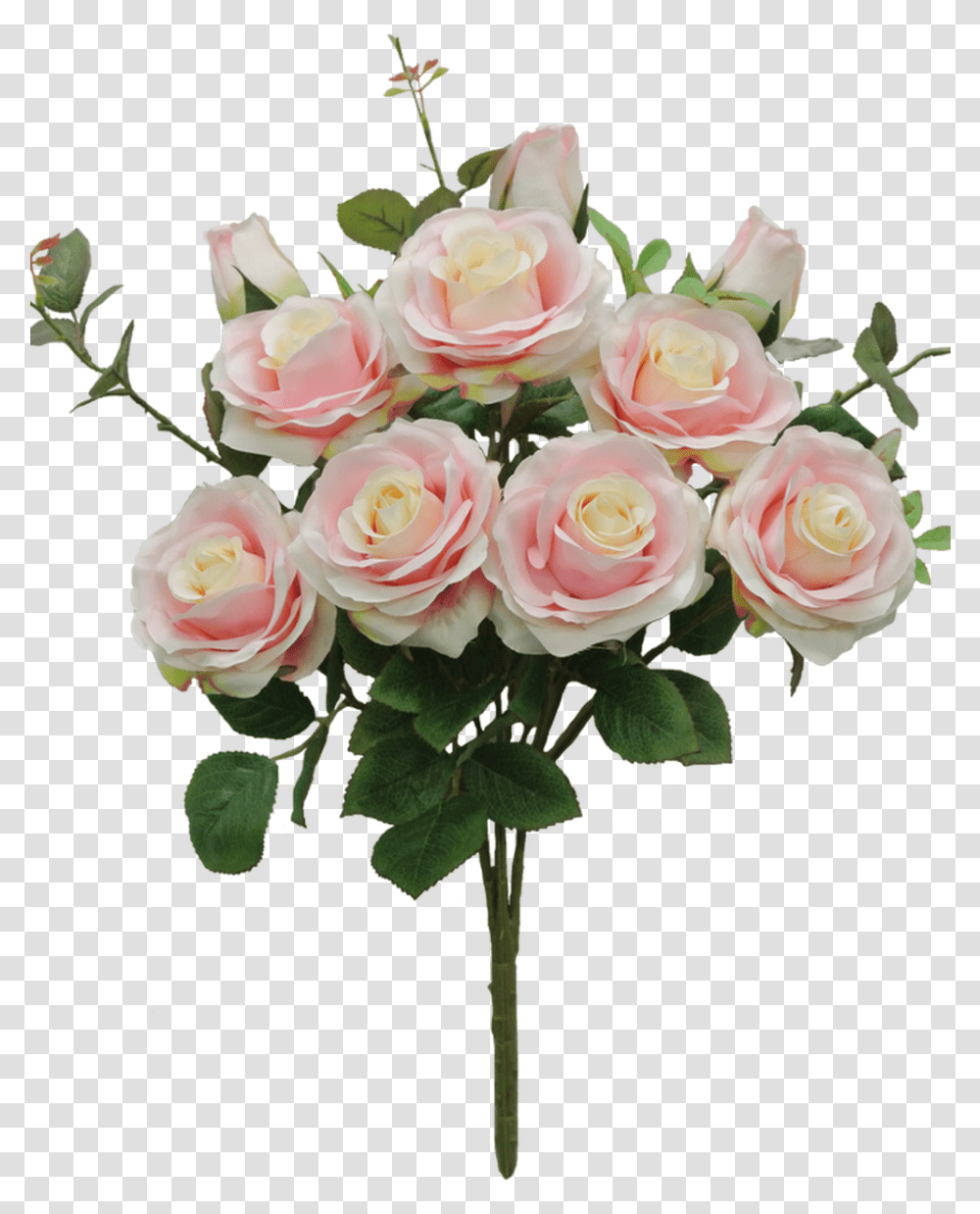 Garden Roses, Plant, Flower, Blossom, Flower Arrangement Transparent Png