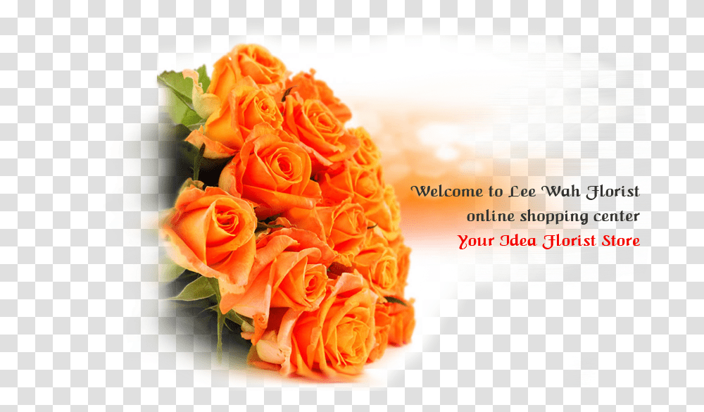 Garden Roses, Plant, Flower, Blossom, Flower Bouquet Transparent Png