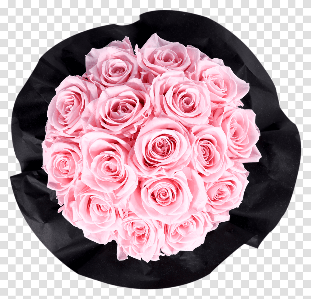 Garden Roses, Plant, Flower, Blossom, Flower Bouquet Transparent Png