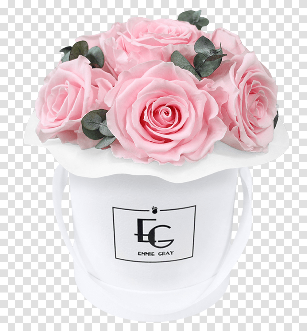 Garden Roses, Plant, Flower, Blossom, Flower Bouquet Transparent Png