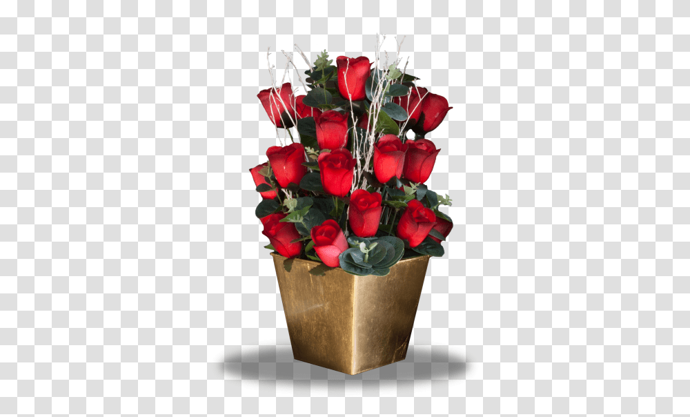 Garden Roses, Plant, Flower, Blossom, Flower Bouquet Transparent Png