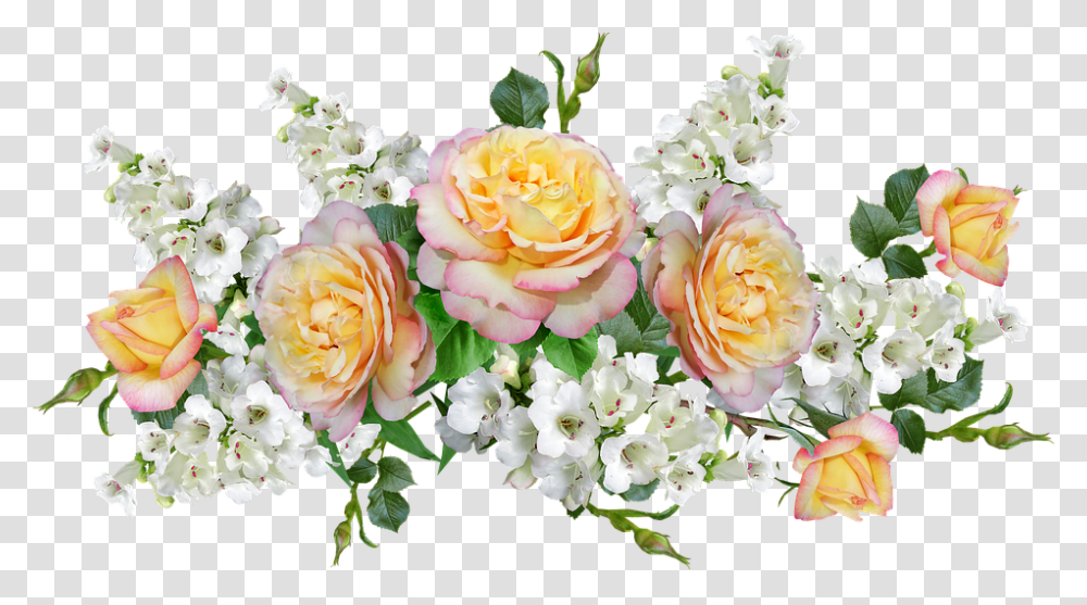 Garden Roses, Plant, Flower, Blossom, Flower Bouquet Transparent Png