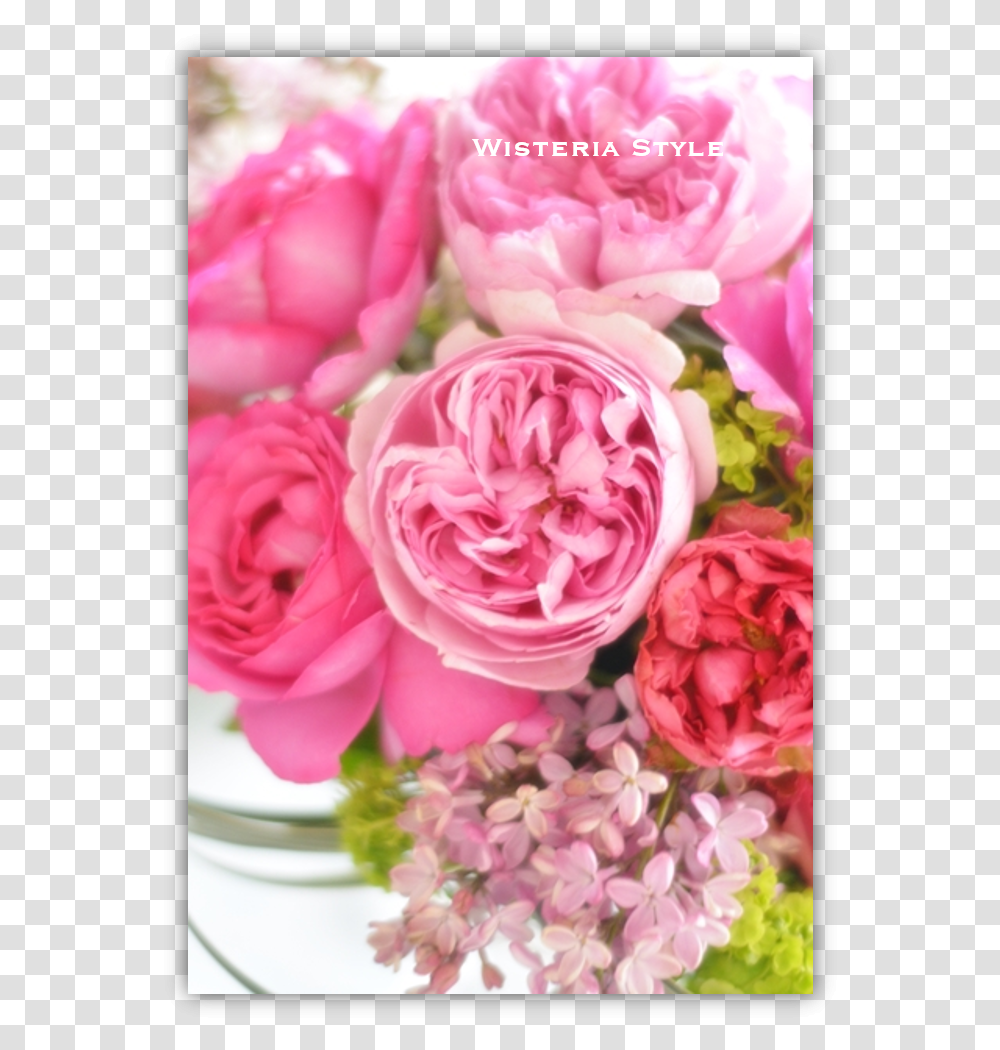 Garden Roses, Plant, Flower, Blossom, Flower Bouquet Transparent Png