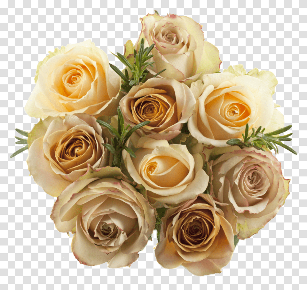 Garden Roses, Plant, Flower, Blossom, Flower Bouquet Transparent Png