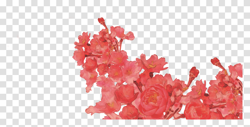 Garden Roses, Plant, Flower, Blossom, Gladiolus Transparent Png