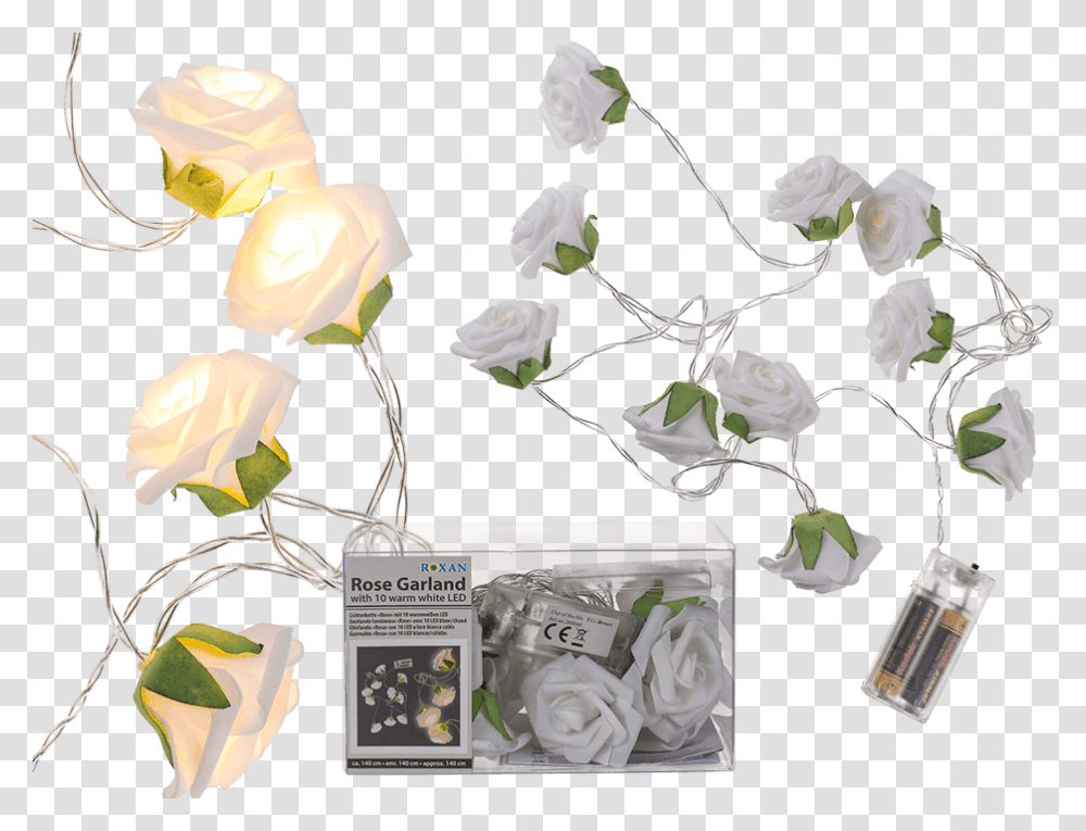 Garden Roses, Plant, Flower, Blossom, Ikebana Transparent Png