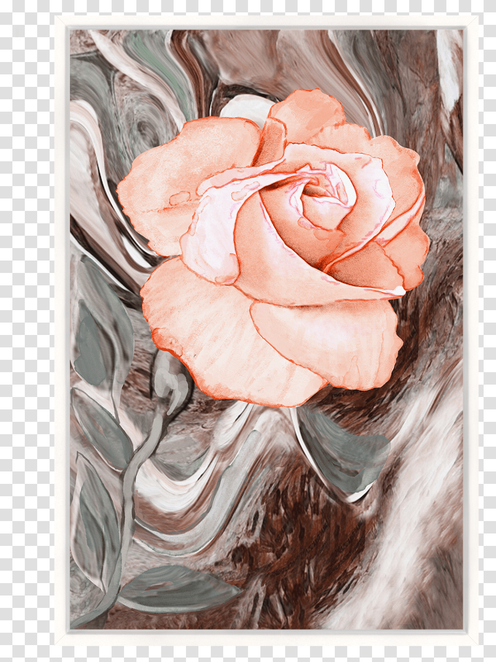 Garden Roses, Plant, Flower, Blossom, Painting Transparent Png