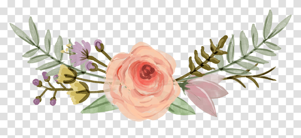 Garden Roses, Plant, Flower, Blossom, Petal Transparent Png