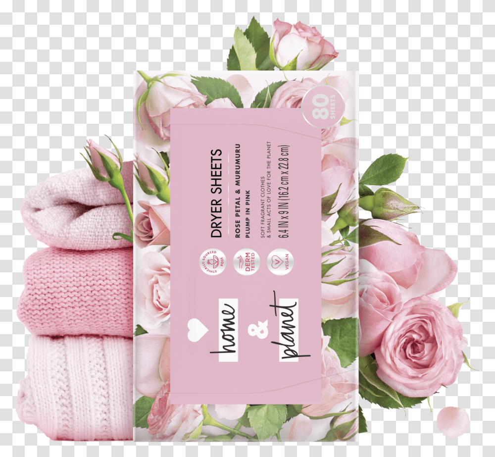 Garden Roses, Plant, Flower, Blossom, Wedding Cake Transparent Png