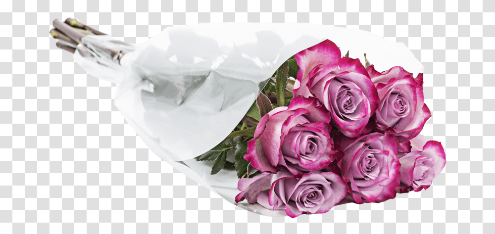 Garden Roses, Plant, Flower Bouquet, Flower Arrangement, Blossom Transparent Png