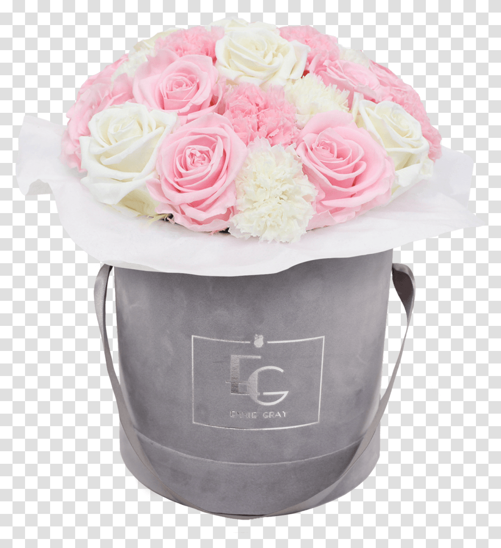 Garden Roses, Plant, Flower Bouquet, Flower Arrangement, Blossom Transparent Png