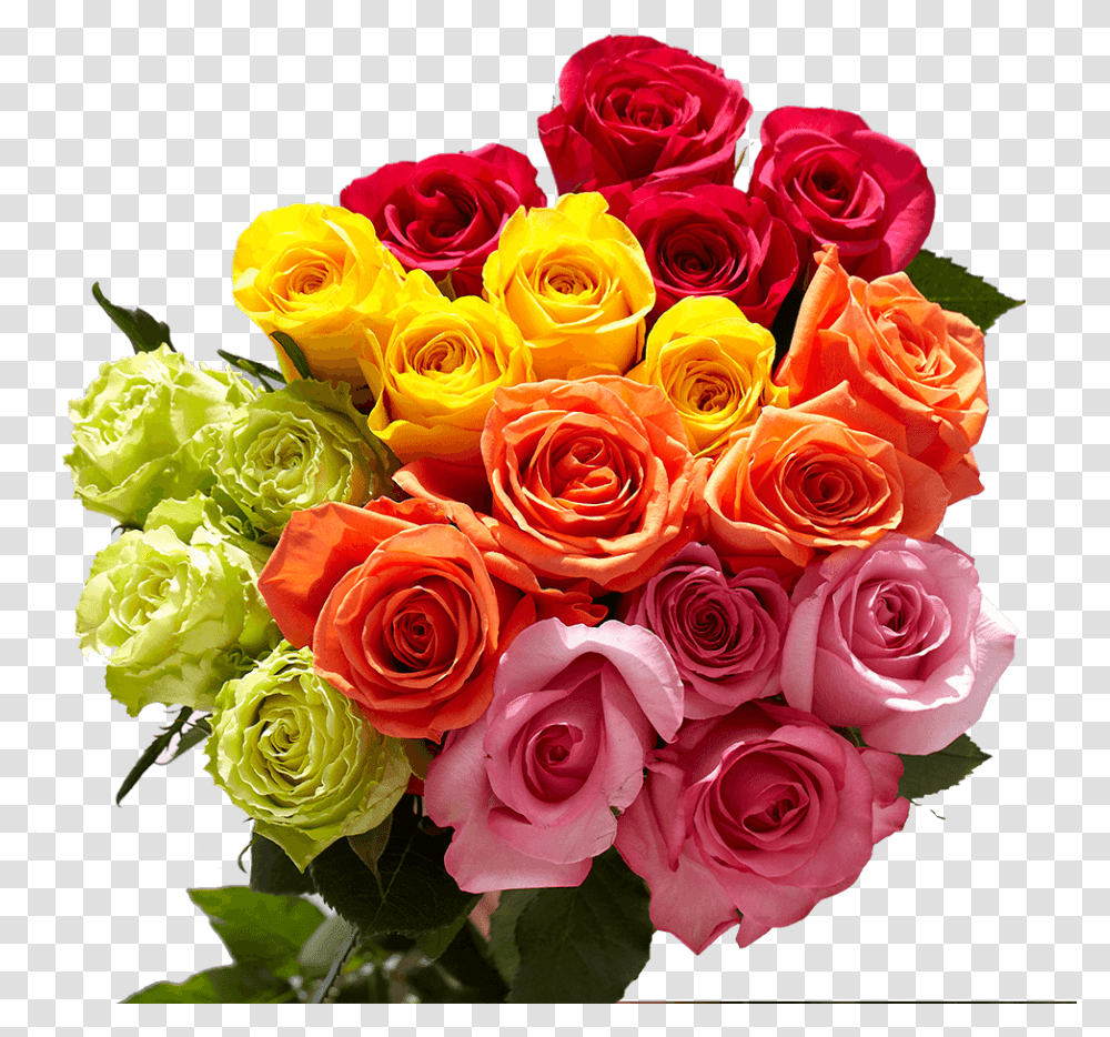 Garden Roses, Plant, Flower Bouquet, Flower Arrangement, Blossom Transparent Png