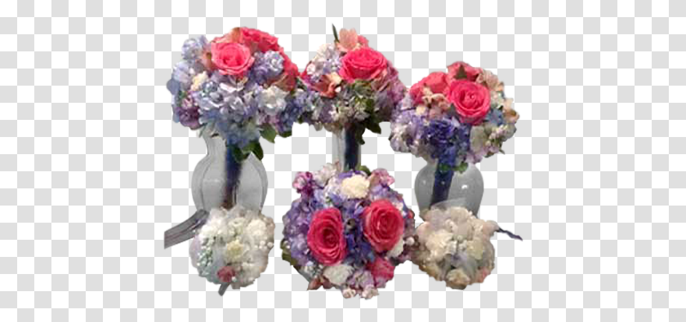 Garden Roses, Plant, Flower, Flower Arrangement Transparent Png
