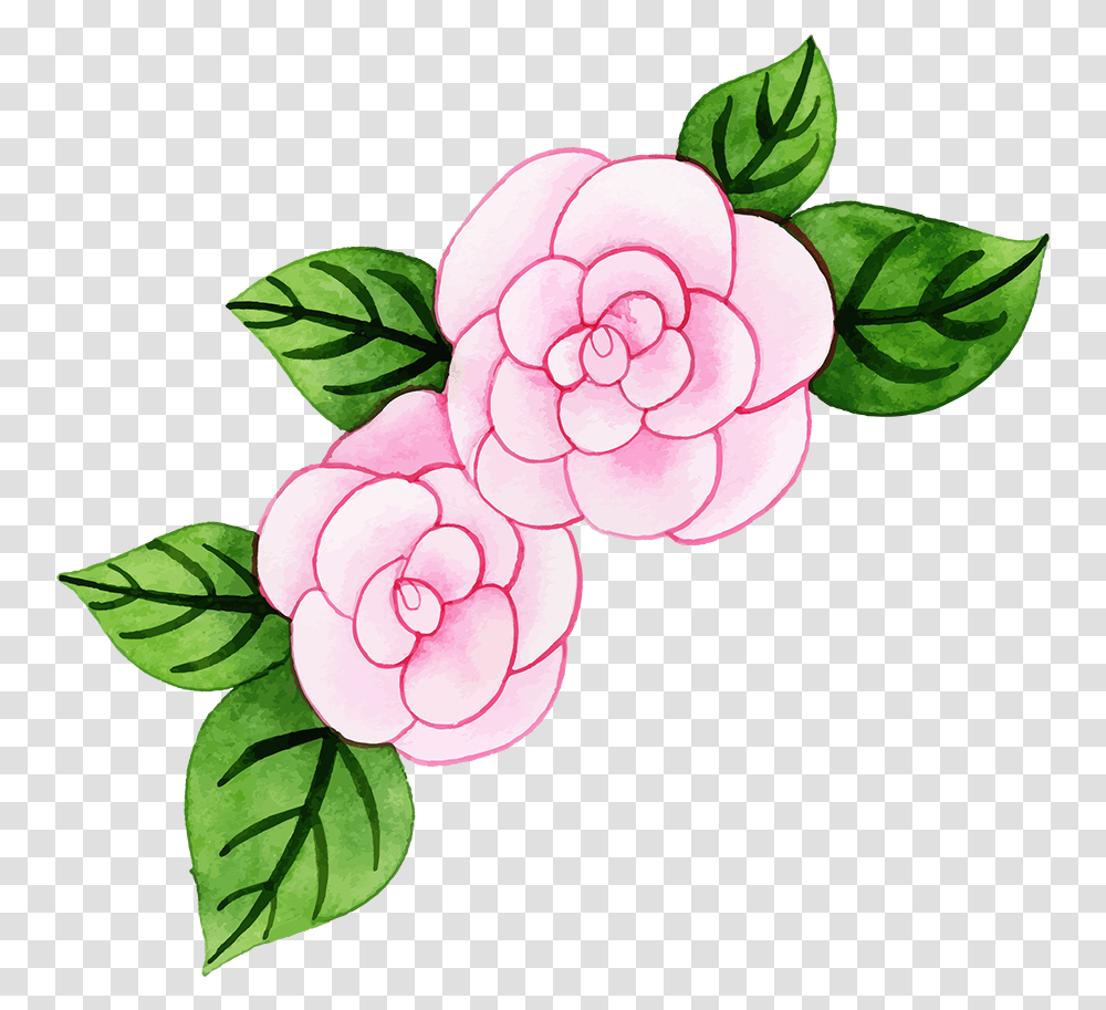 Garden Roses, Plant, Flower Transparent Png