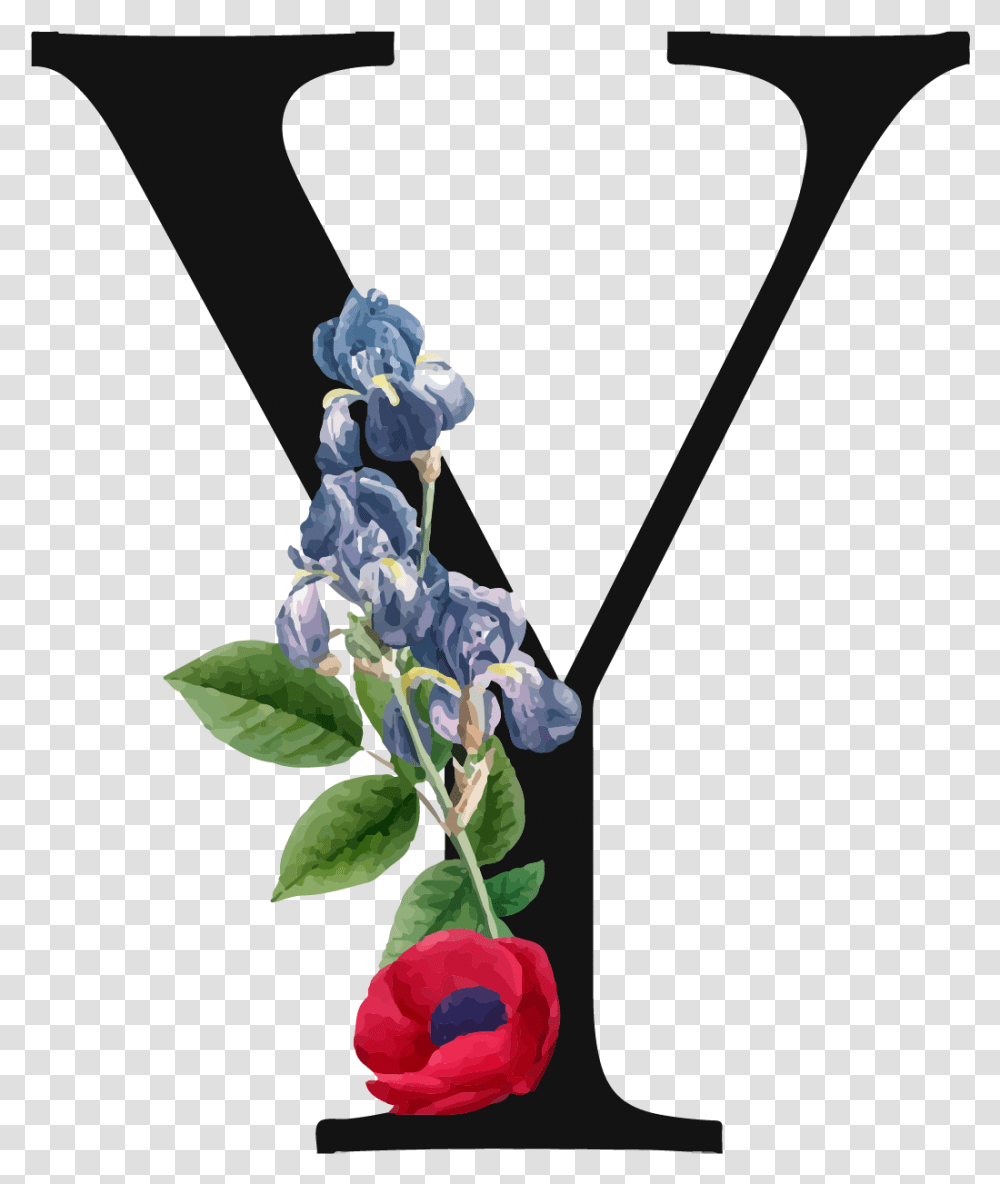 Garden Roses, Plant, Flower, Vase, Jar Transparent Png