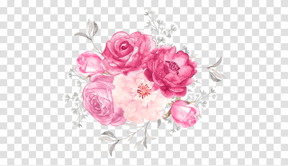 Garden Roses, Plant, Floral Design Transparent Png