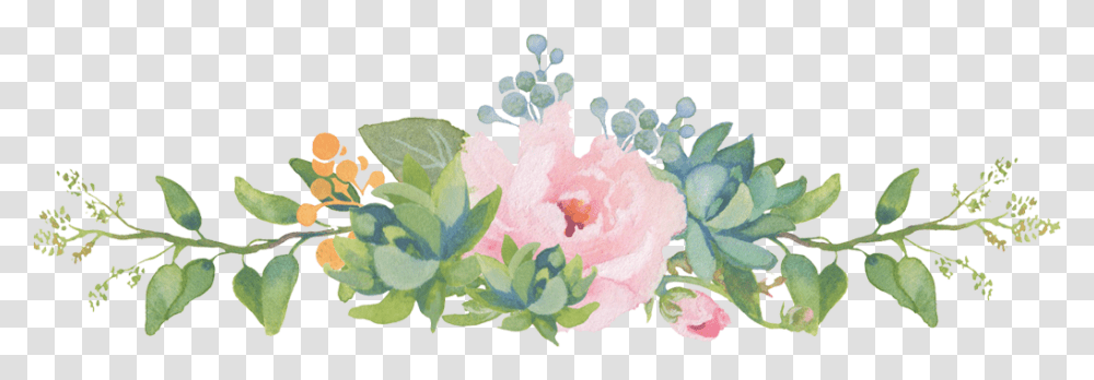 Garden Roses, Plant, Hibiscus, Flower, Pollen Transparent Png