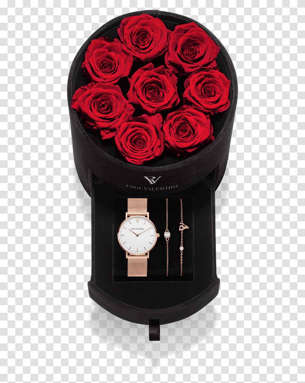 Garden Roses, Plant, Wristwatch, Clock Tower, Architecture Transparent Png