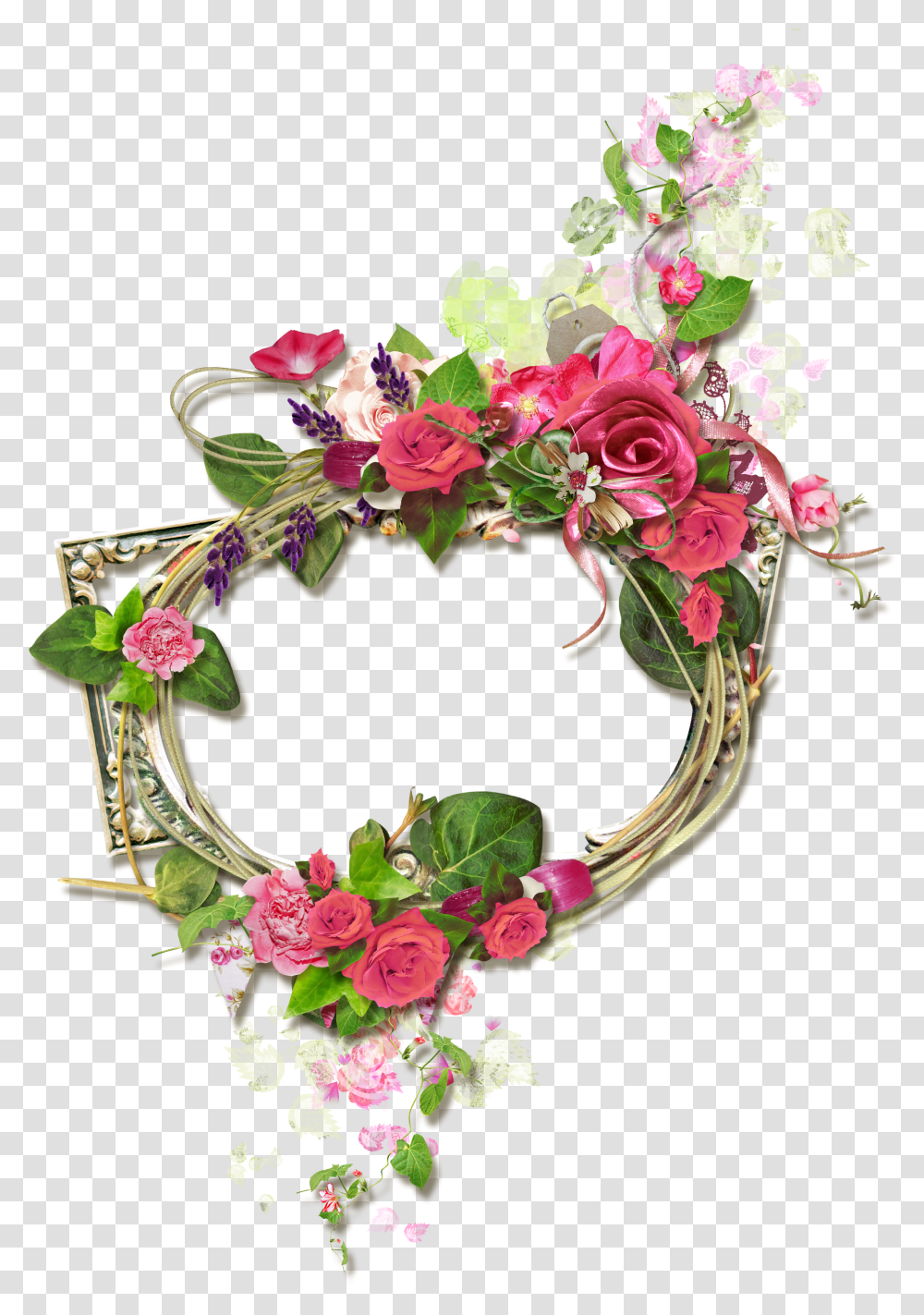 Garden Roses Transparent Png