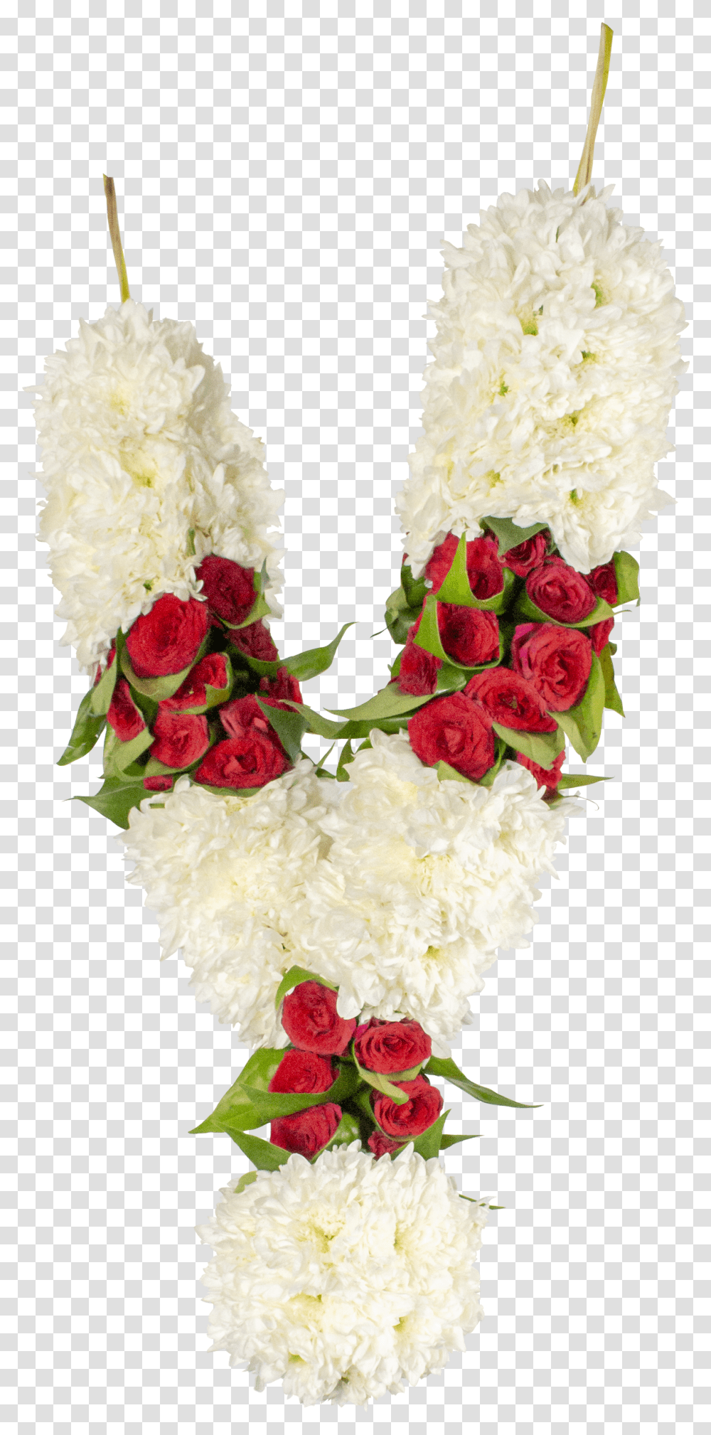 Garden Roses Transparent Png