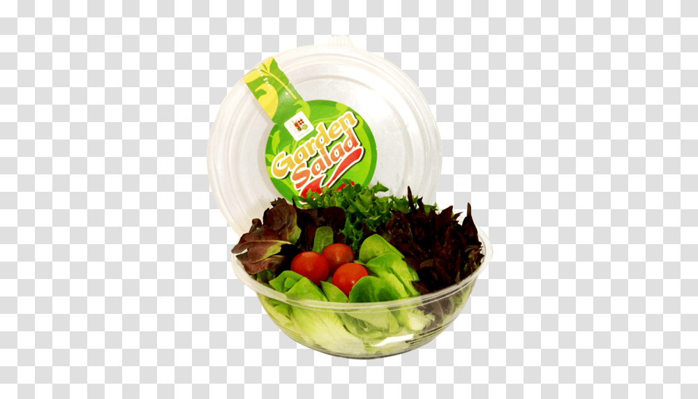 Garden Salad, Bowl, Plant, Meal, Food Transparent Png
