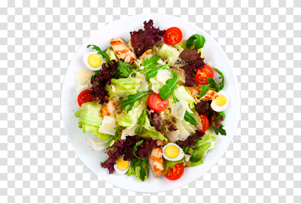Garden Salad, Dish, Meal, Food, Platter Transparent Png