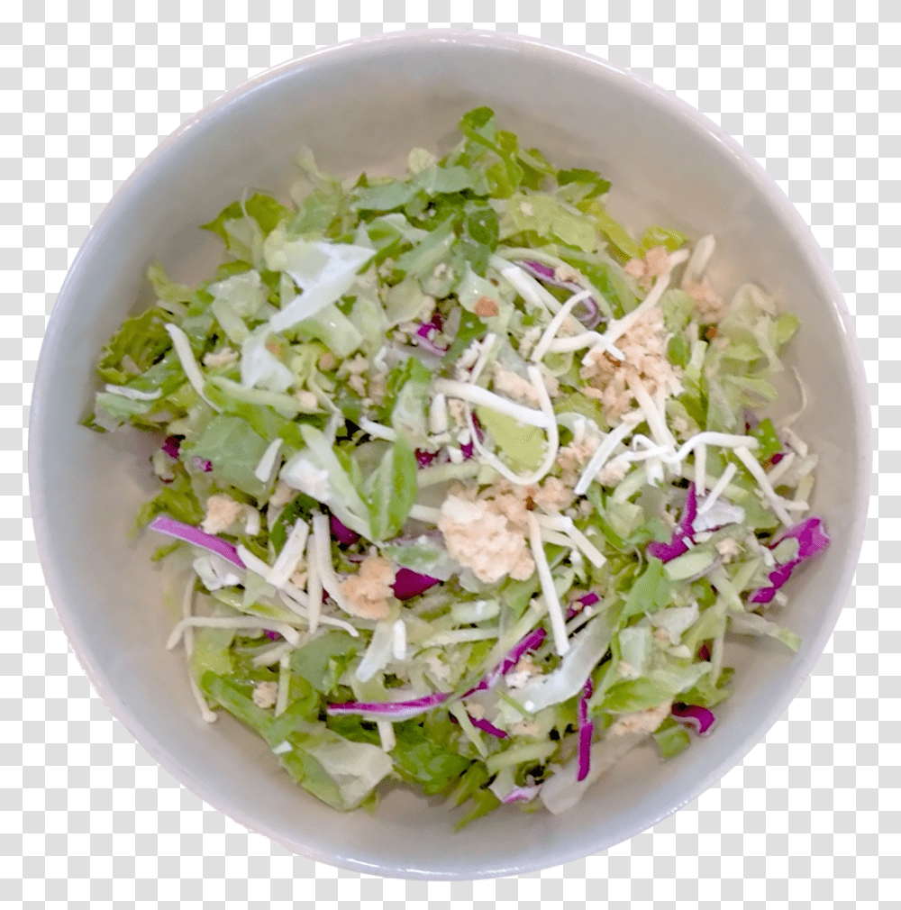Garden Salad, Plant, Dish, Meal, Food Transparent Png