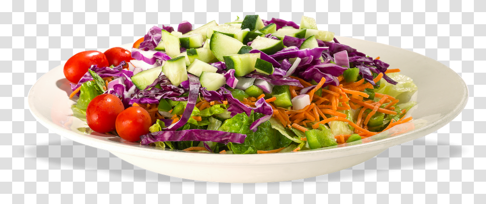 Garden Salad, Plant, Food, Dish, Meal Transparent Png