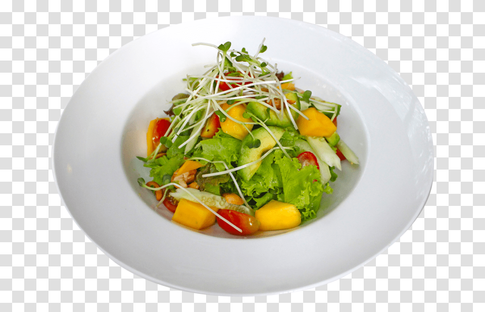 Garden Salad, Plant, Produce, Food, Dish Transparent Png