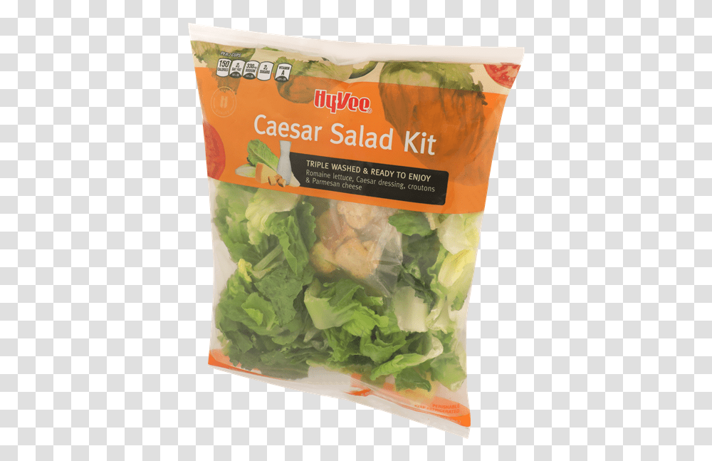 Garden Salad, Plant, Vegetable, Food, Lettuce Transparent Png