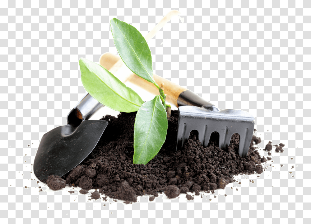 Garden Tools Graphic Library Download Gardening Equipment, Soil, Plant, Planting, Outdoors Transparent Png