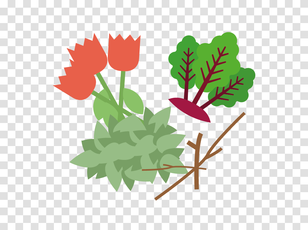 Garden Waste, Plant, Vegetable, Food, Leaf Transparent Png