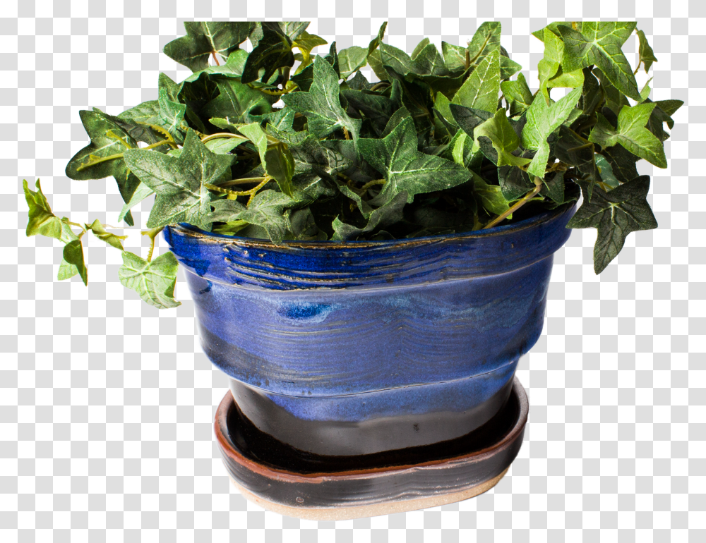 Gardener Clipart Planter Flowerpot, Vegetable, Food, Produce, Potted Plant Transparent Png
