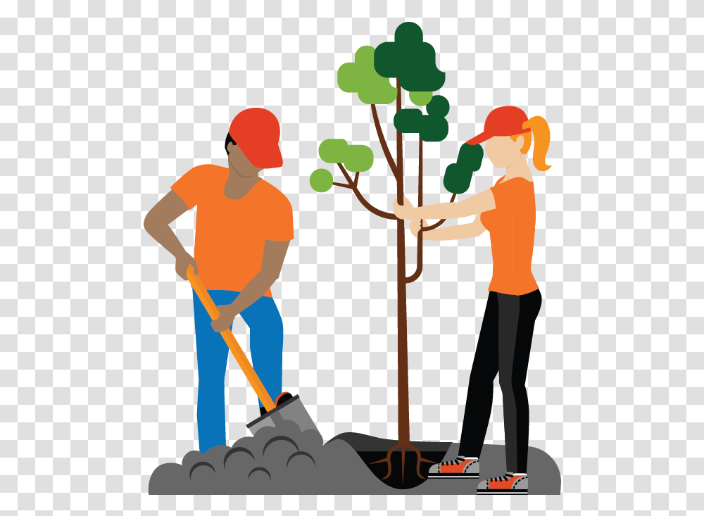 Gardener Plant Tree Program Clipart, Person, Human, Outdoors, Cleaning Transparent Png