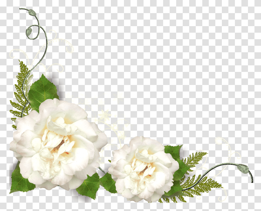 Gardenia White Flower Corner, Plant, Blossom, Peony, Flower Arrangement Transparent Png
