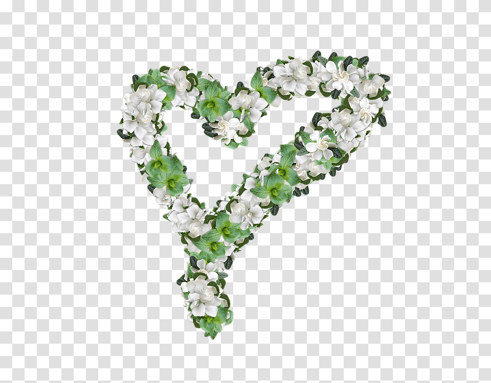 Gardenias 960, Flower, Alphabet, Plant Transparent Png