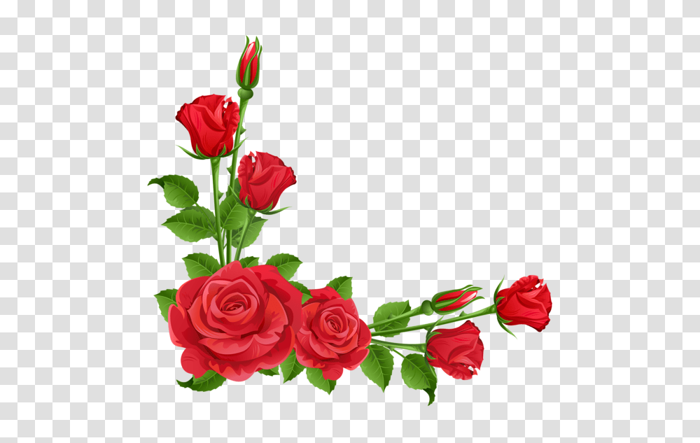 Gardening Flowers Red, Rose, Plant, Blossom, Flower Bouquet Transparent Png