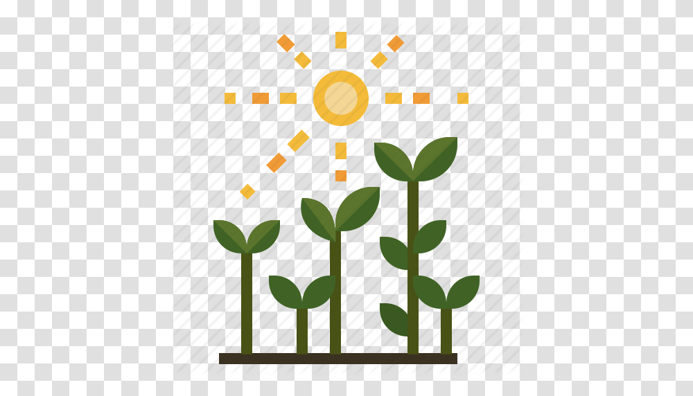 Gardening Growing Sunbeams Sunlight Sunny Icon, Plant, Flower, Blossom Transparent Png