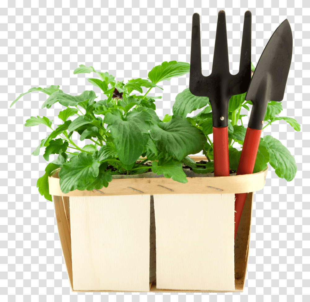Gardening Tool Box, Plant, Vase, Jar, Pottery Transparent Png