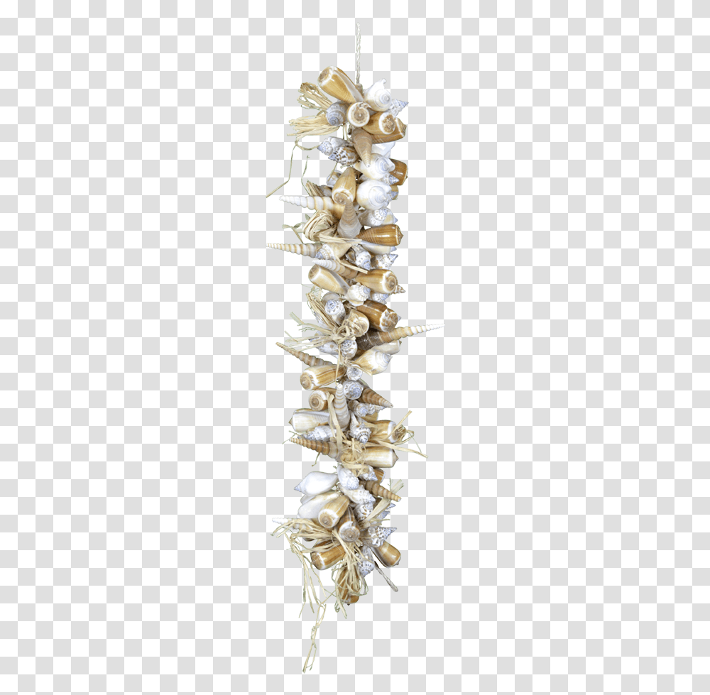 Garland 21 Brown Shells Christmas Tree, Seashell, Invertebrate, Sea Life, Animal Transparent Png
