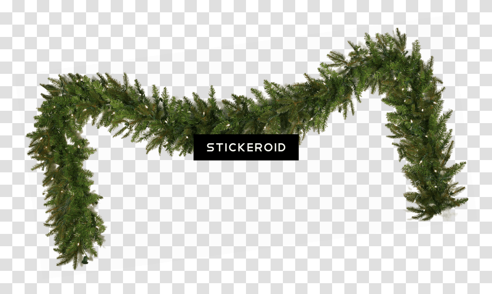 Garland Christmas Simple Christmas Garland Images Download, Plant, Moss, Fern, Tree Transparent Png