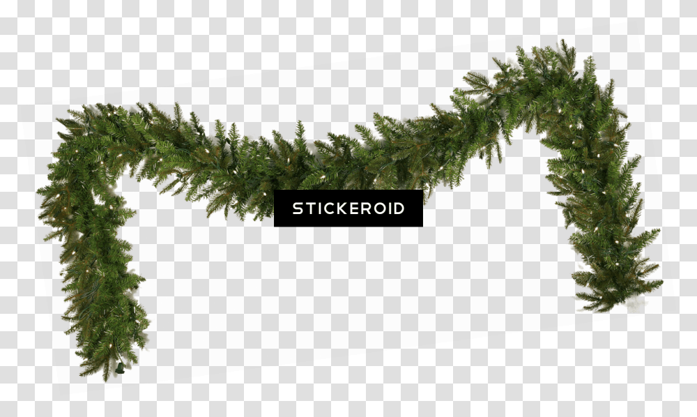 Garland Christmas Simple Christmas Garland Images Download, Plant, Moss, Tree, Fern Transparent Png