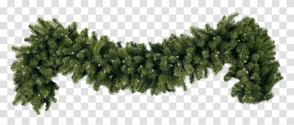 Garland Nyc Tree Shop, Plant, Pine, Conifer, Ornament Transparent Png