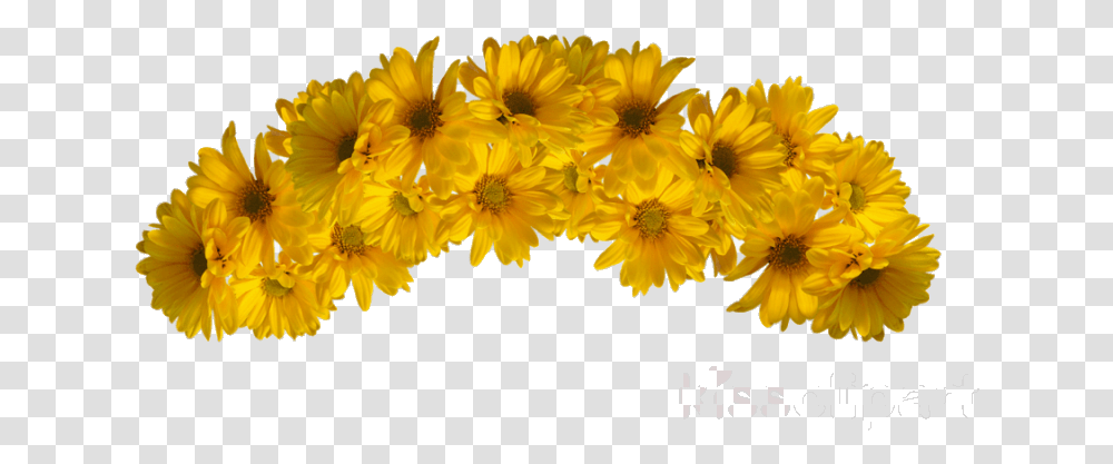 Garland Yellow Cliparts Yellow Flowers Crown, Plant, Daisy, Petal, Anther Transparent Png