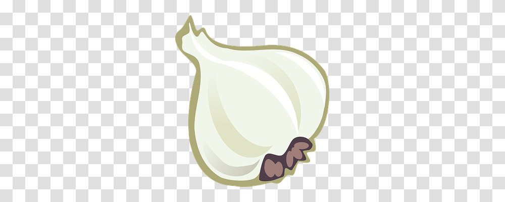 Garlic Nature, Plant, Vegetable, Food Transparent Png